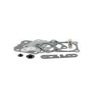 MEMBRANSATS - 258354 - OE 42909A4