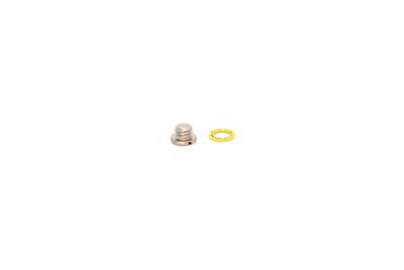 SKRUV OLEPLUGG INKL.PACKNING - 235858 - OE 79953Q04