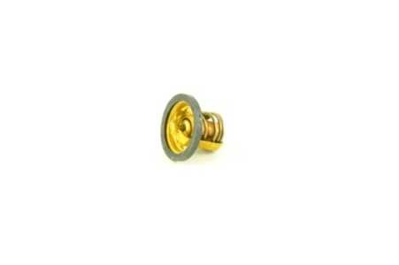 TERMOSTAT 60 - 277319 - OE 875783