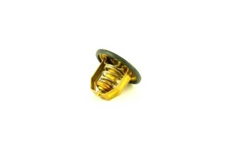 TERMOSTAT 60 - 277366 - OE 876080